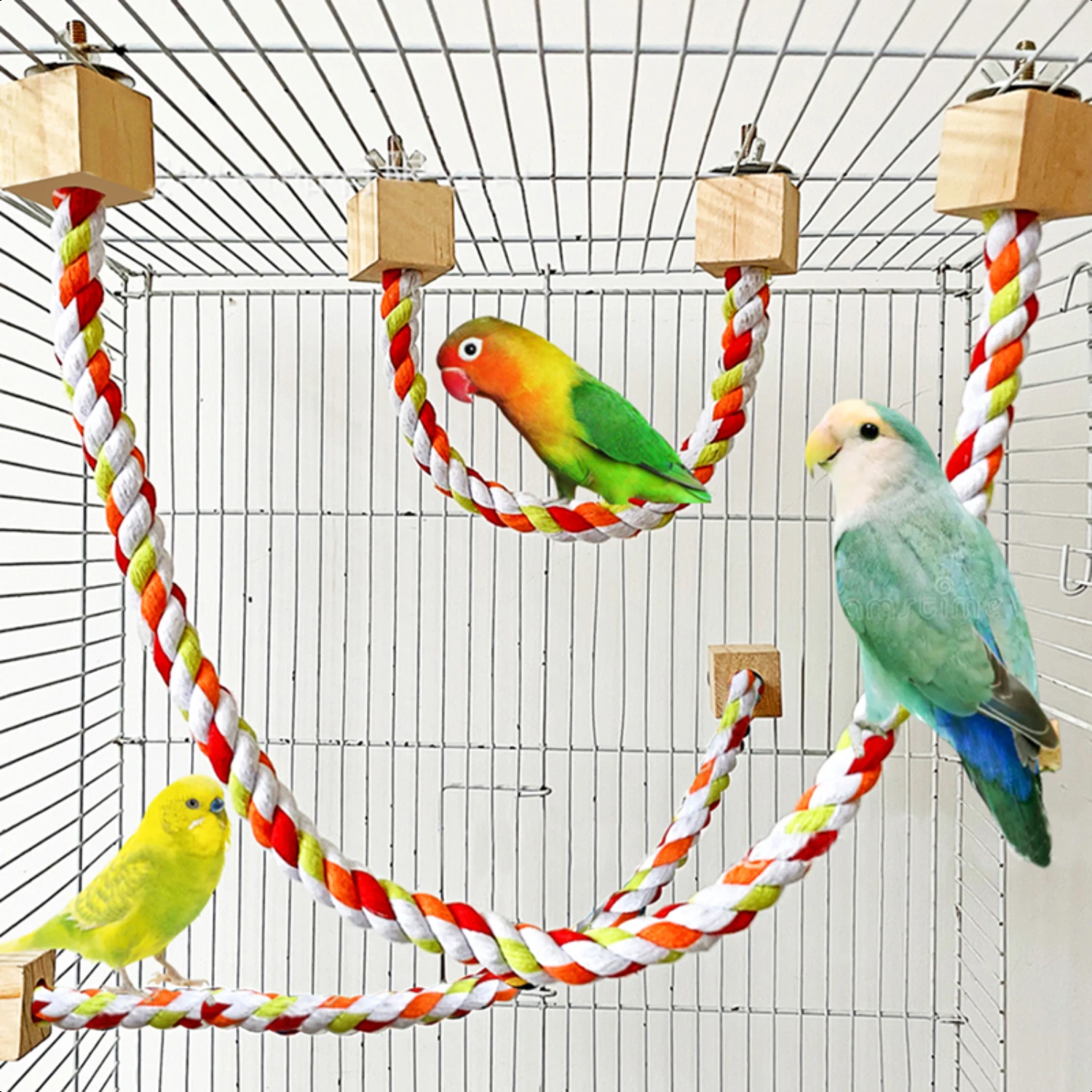 Durable, safe, and eye-catching Colorful Vibrant Climbing Rope for Parrots - Effortless swinging and climbing for endless playti