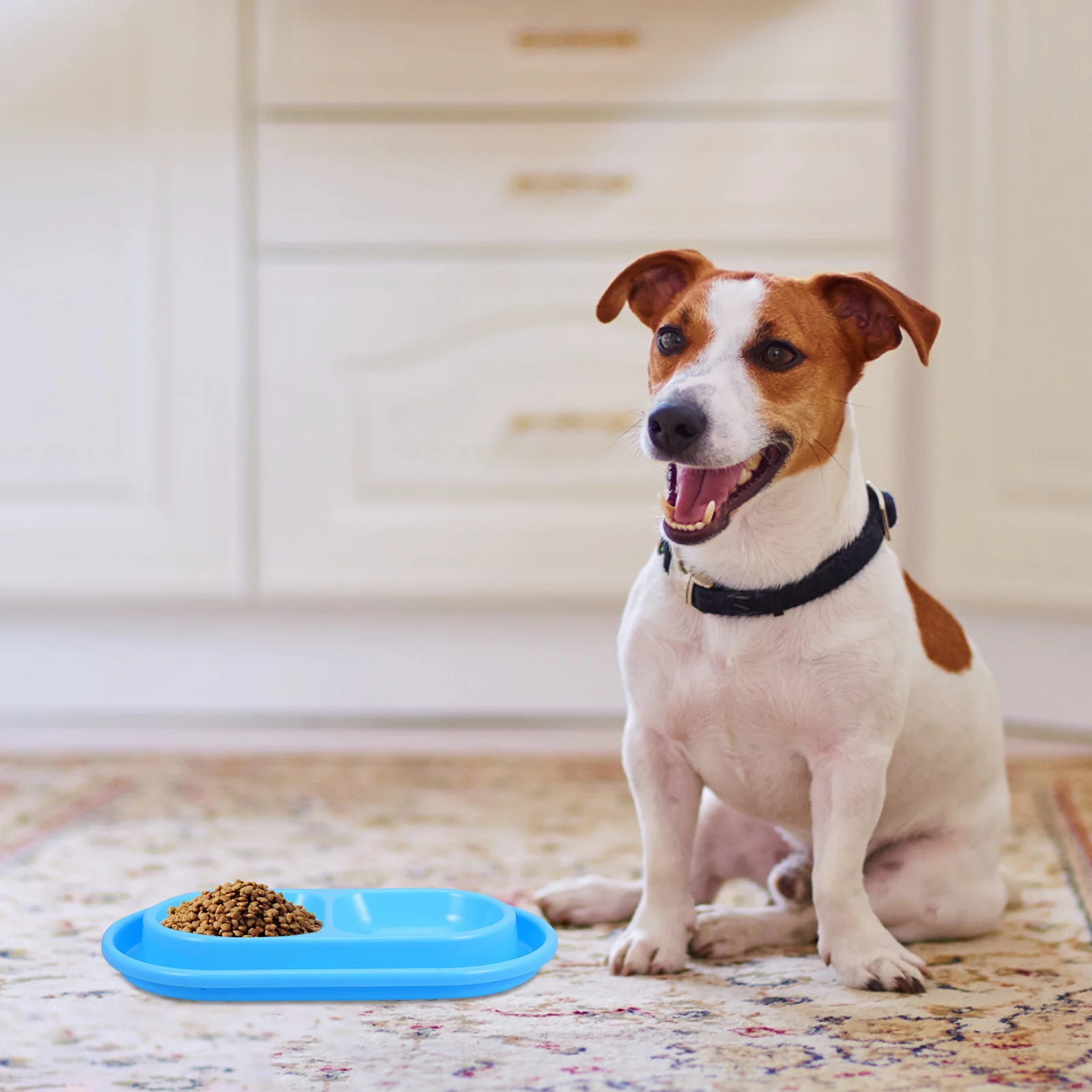 

Anti-ant Cat Bowl Proof Food Bowls Pet Feeding Water for Dogs Pp Dish Outdoor Feeder