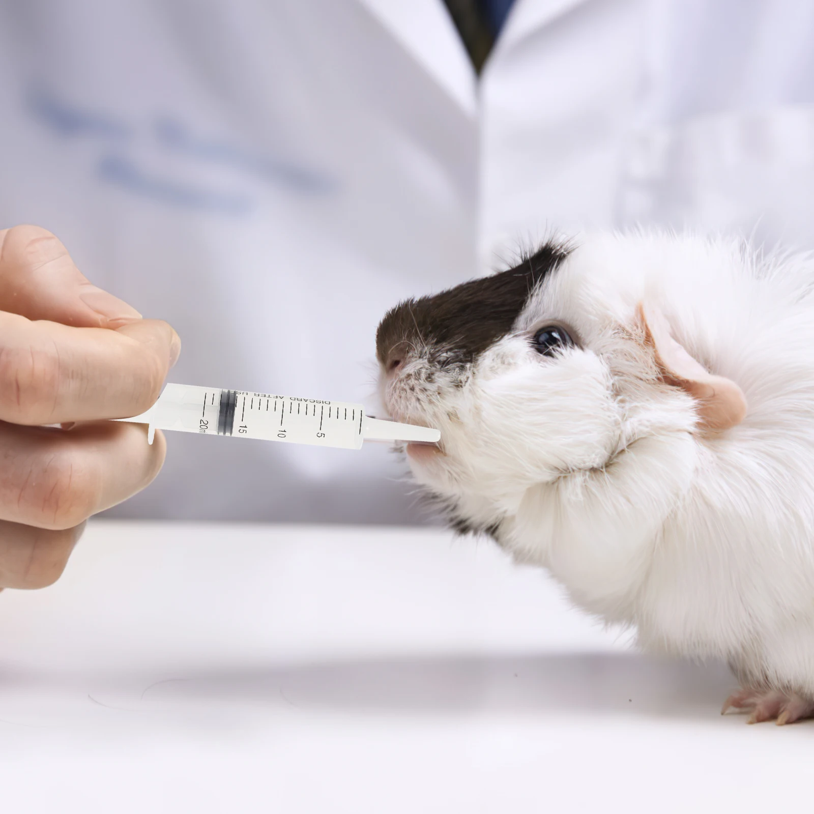 

10Pcs Plastic Liquid Injectors Glue Applicator for Perfumes Essential Oil Feeding Pet Nutrient Solution DIY Craft Scaled