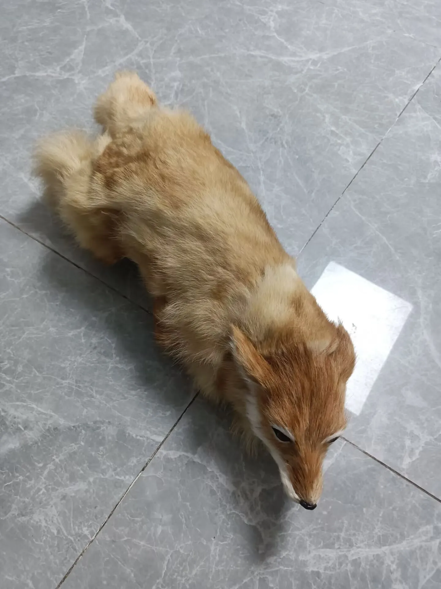 Big Real Life Natural Color Fox Model Plastic & Furs Simulation Lying Fox Gift About 62cm Animal Figurine