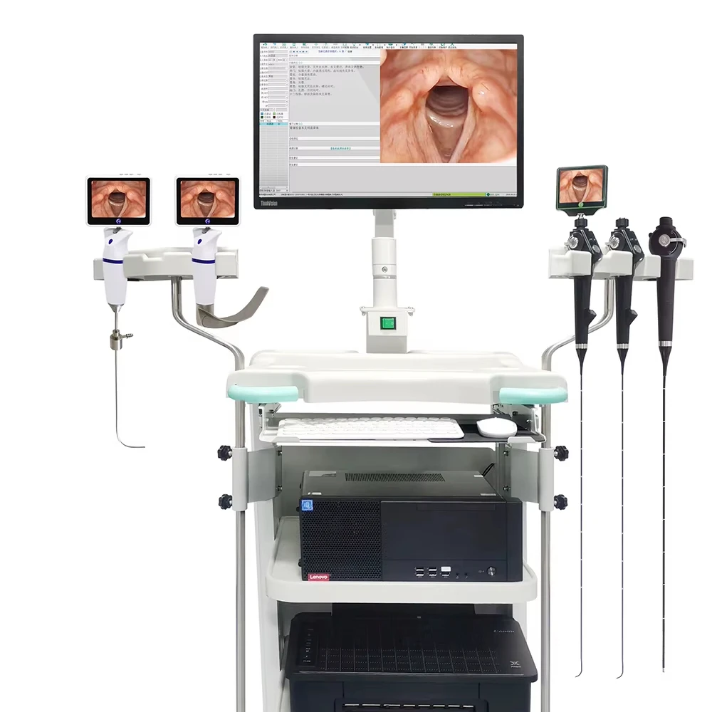 Clinical Grade Video Bronchoscope Kit With Portable Screen for Efficient Lung Cancer Diagnosis and Foreign Body Removal