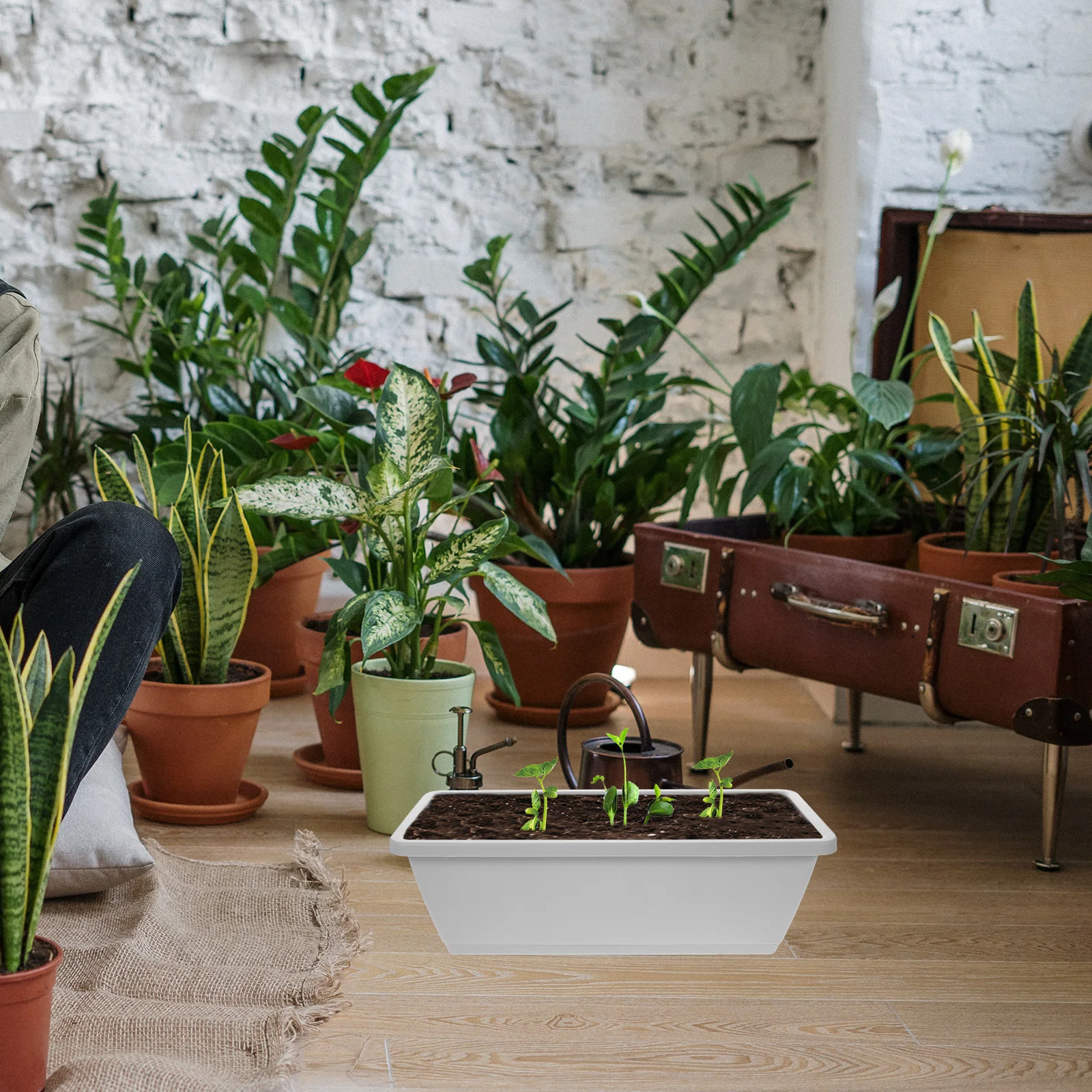 

4 Sets Vegetable Pot with Bottom Bracket Rectangular Flowerpot Window Planter Planting Pots Indoor Lattice Tray Rectangle Resin