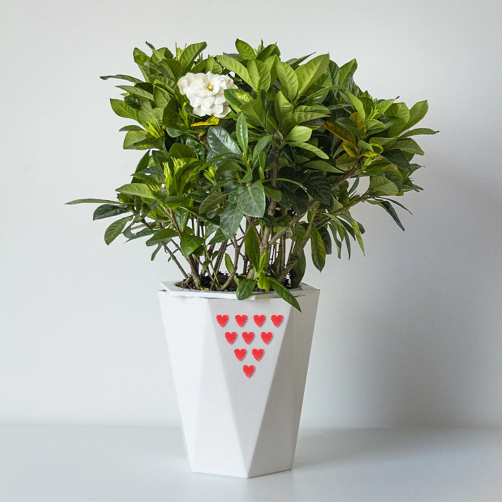 

1Set Heart Shape Ceramic Mosaic Tiles Smooth Flatback DIY Craft Supplies Assorted Color Decorative Pieces for Greeting Cards