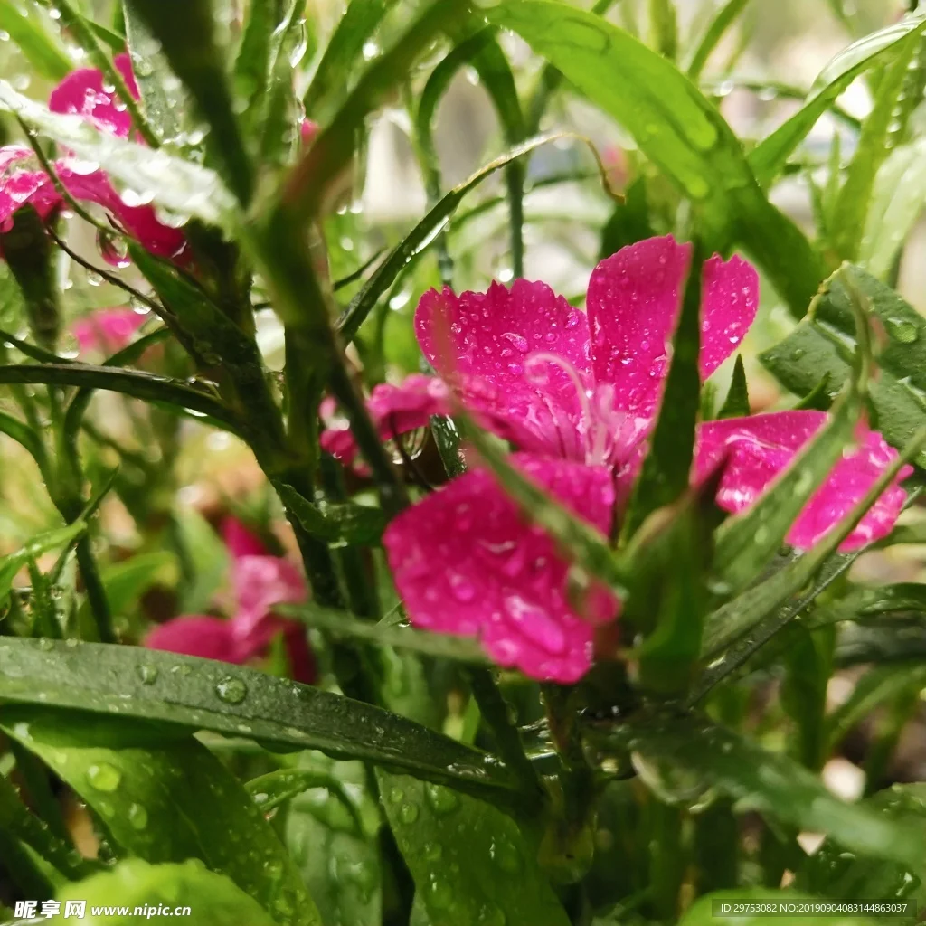 

Карбоновая опорная пластина для сервопривода ST/TH TO-266-MP11 для радиоуправляемых моделей Kyosho MP11, запчасти и аксессуары для тюнинга