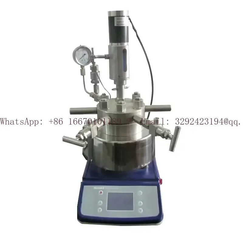 100ml High Pressure Reactor with Magnetic Stirrer for Laboratory Use Lab Equipment