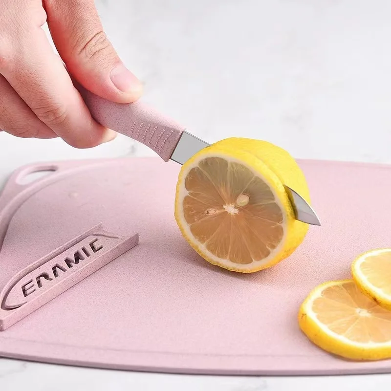 Stainless Steel Fruit Knife, Household Fruit Set KnifeIt Is Convenient To Carry Outdoor Knives Fruit Peeler Accessory Small Tool