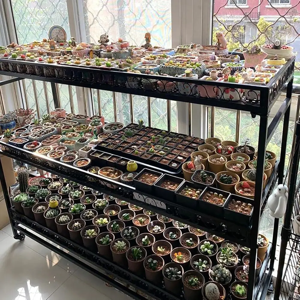 2-Tier Rolling Metal Plant Stand - Ladder Style Pot Rack for Indoor & Outdoor Flower Displays