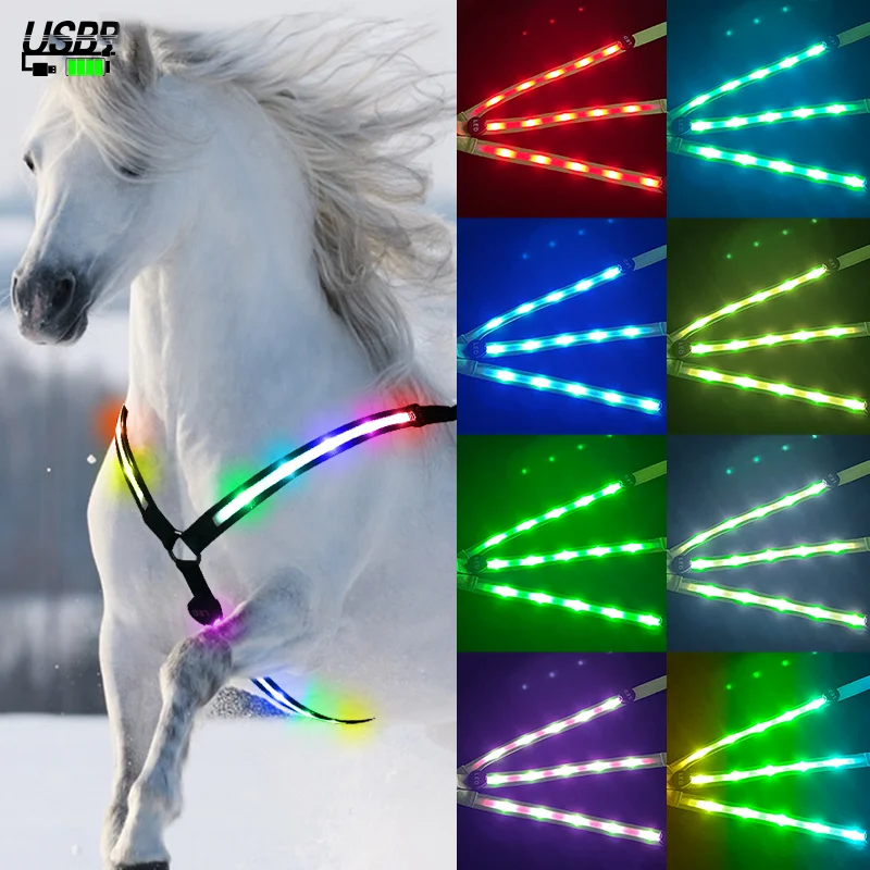 Veelkleurig paardenborstharnas LED-lichtgevende borstband Paardentuig Outdoor Veiligheid Paardensport Sportbenodigdheden Rijuitrusting