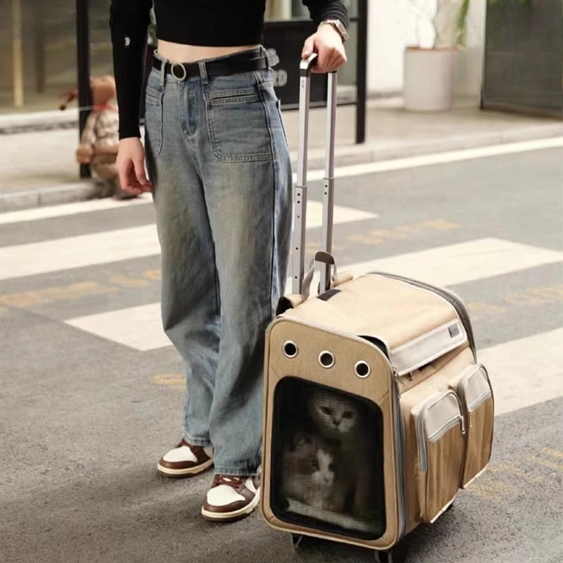 

Cat bag trolley case portable out backpack cat large capacity 10kg two double cats Maine anti-stress
