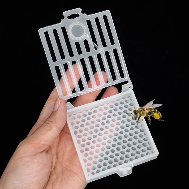 Beekeeping Transport Queen Cages New Design Bee Post Cage Transparent Box with Comb Fundation Sheet Queen Rearing Tool Supplies