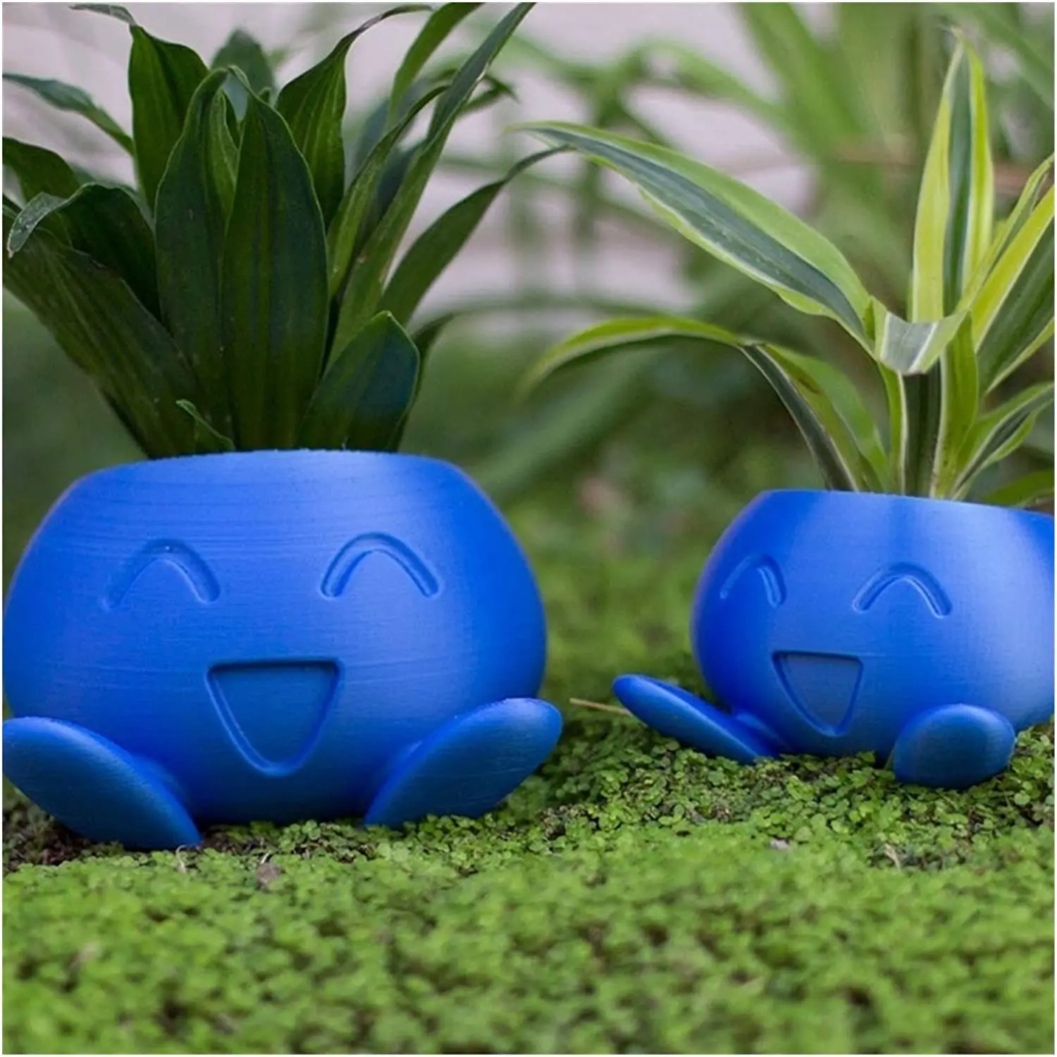 Oddish-Pot de fleurs pour plantes succulentes, jardinière