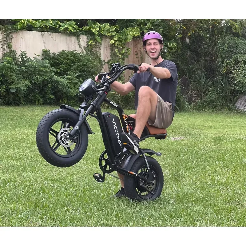 Victrip R6PRO Mountain Electric Tire Long Range Wholesale Us Ca Eu Electric Bike for Adults