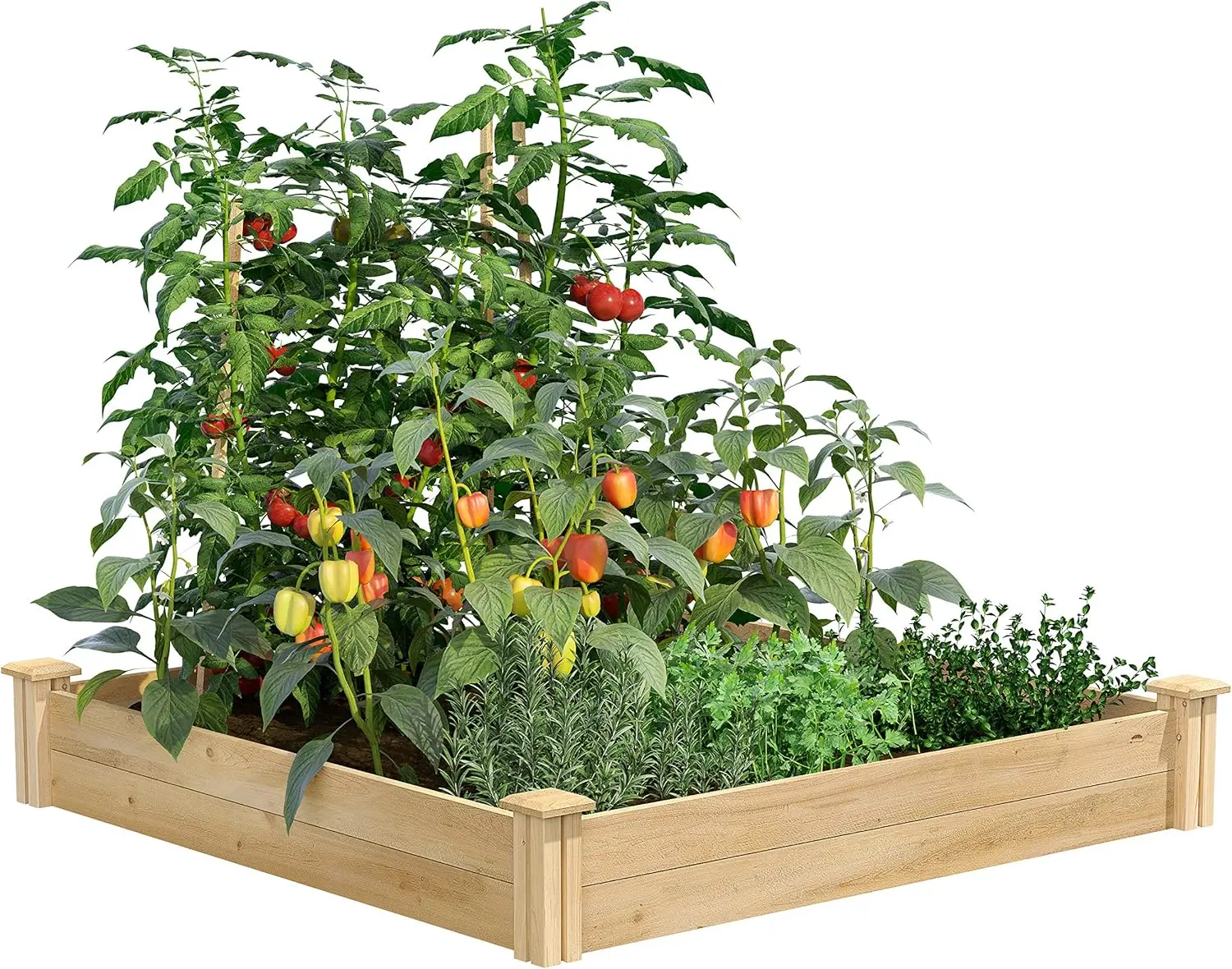 

Premium Cedar Raised Garden Bed, 4' x 4' x 7" (3/4" Thick) (3-Pack) - Made in USA with North American Cedar