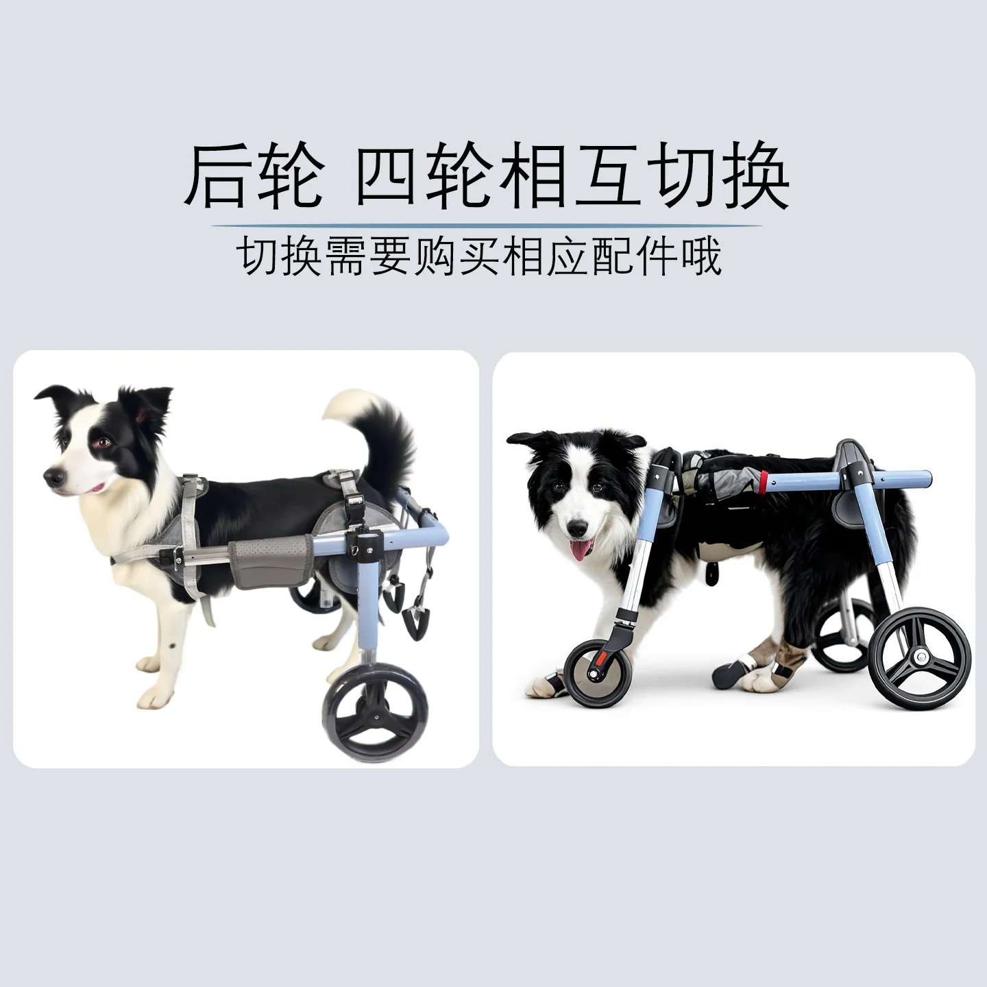 Foldable & No-Assembly Dog Wheelchair for Medium-Large Pets, Adjustable Hind Leg Support Cart for Disabled & Paralyzed Dogs