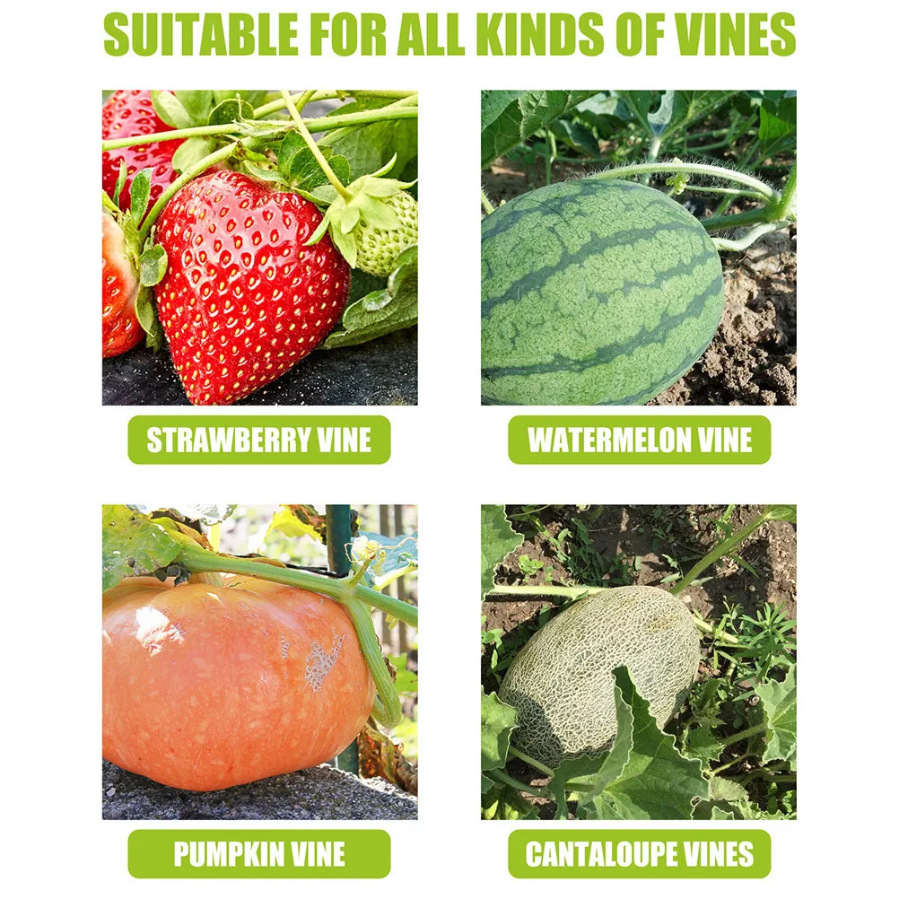 

150pcs Plant Support Clips Pp Garden Vine Holders For Watermelon Strawberry Peanut Vines Plant Growth Control Tool