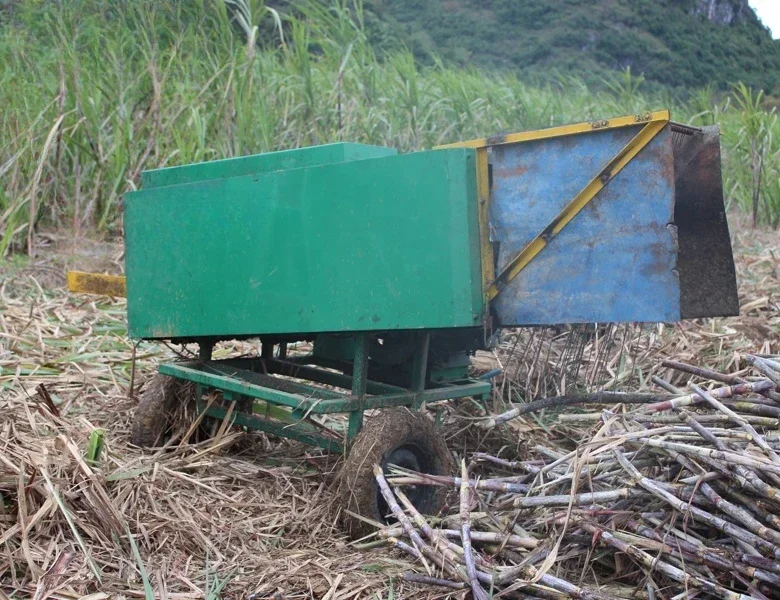 well known sugarcane peeler/sugarcane leaf hine for sale