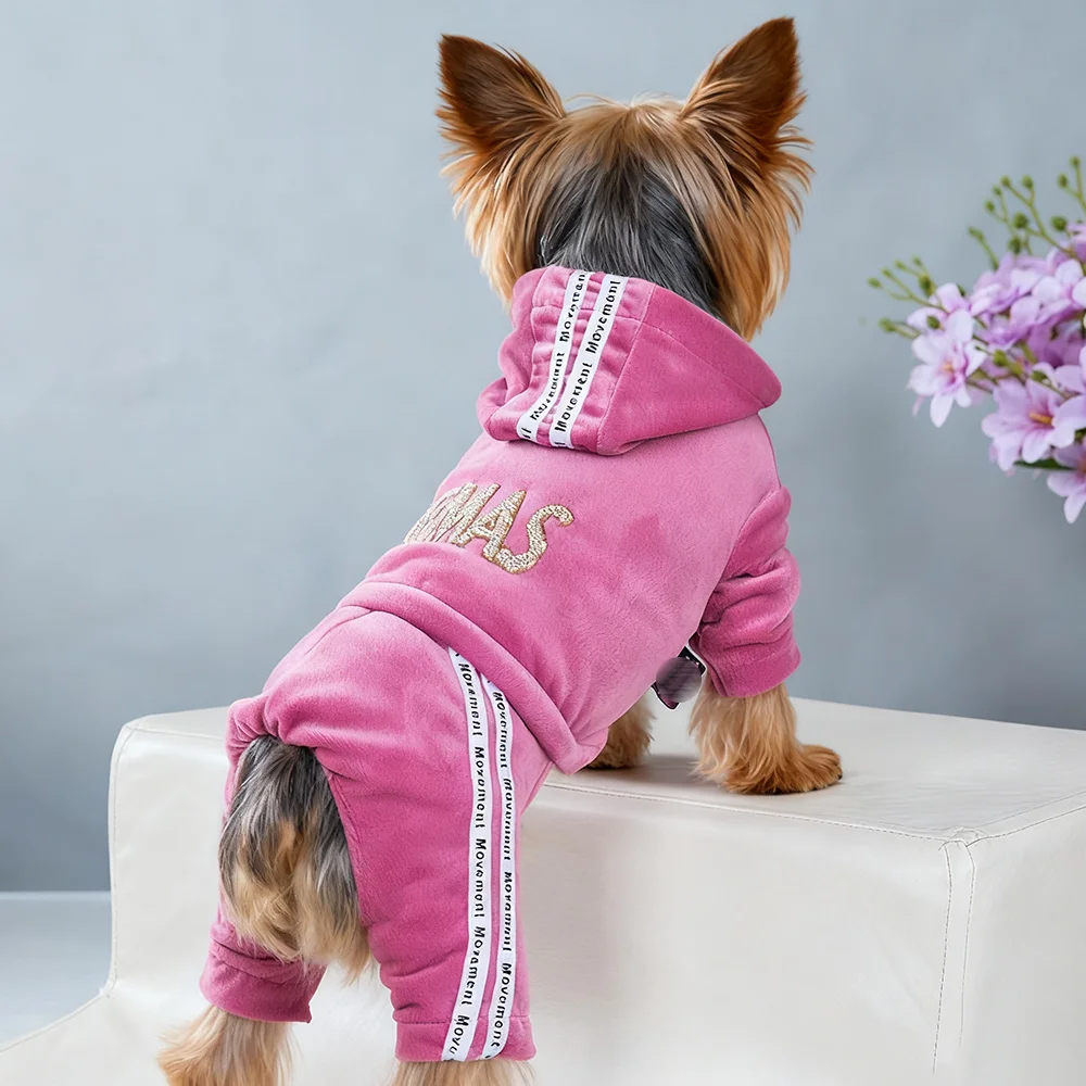 Thumbnail 4 - #5 Trending Pet Apparels Right Now