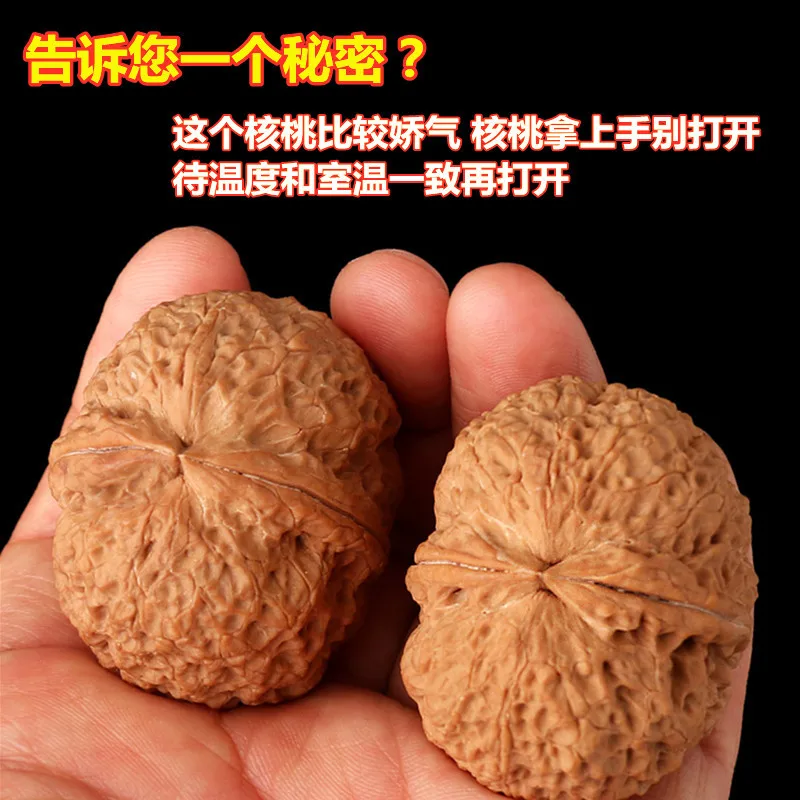Natural Wild Yunnan Iron Walnut Pair Chinese Traditional Wenwan Collectible Unique Toad Python Pattern Stress Relief Hand Fidget