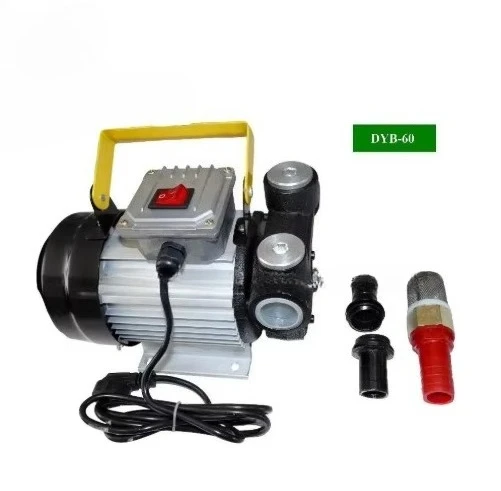 DYB60 electric transfer pump custom OEM support AC220V IP54 diesel liquefied petroleum gas vane pump protection grade