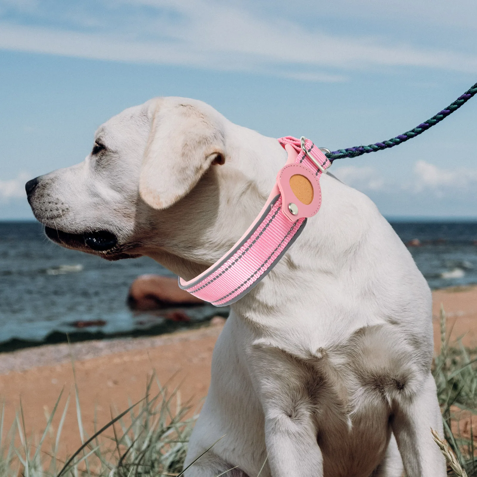 

1pc Pet Collar Reflective Nylon Dog Neck Loop Protective Belt For Tracer Case Anti Lost Shell Dog