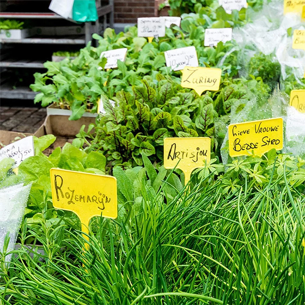 Waterproof T Shaped Plant Labe - đánh giá và giá Garden Label Marker