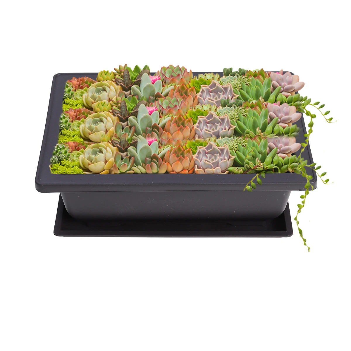 

Rectangular Plastic Flower Pot Large Capacity Durable Succulent Plants Pots Animals Indoor Garden Planter Draining Holes