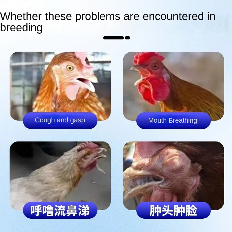 Poulets, canards, oies, lapins, porcs, vaches, moutons, toux, roulements, trait respiratoire, pigeons, agents résoluants des flambes