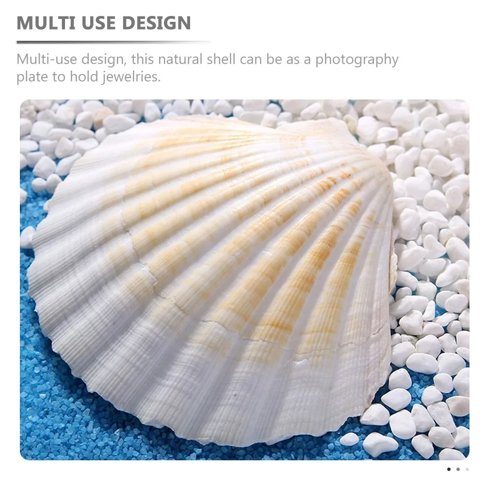 

2Pcs Natural Shell Adorn DIY Material Photo Prop Plate Ornament Safe for Fish Tank Aquarium Bonsai Decor Abalone Shell