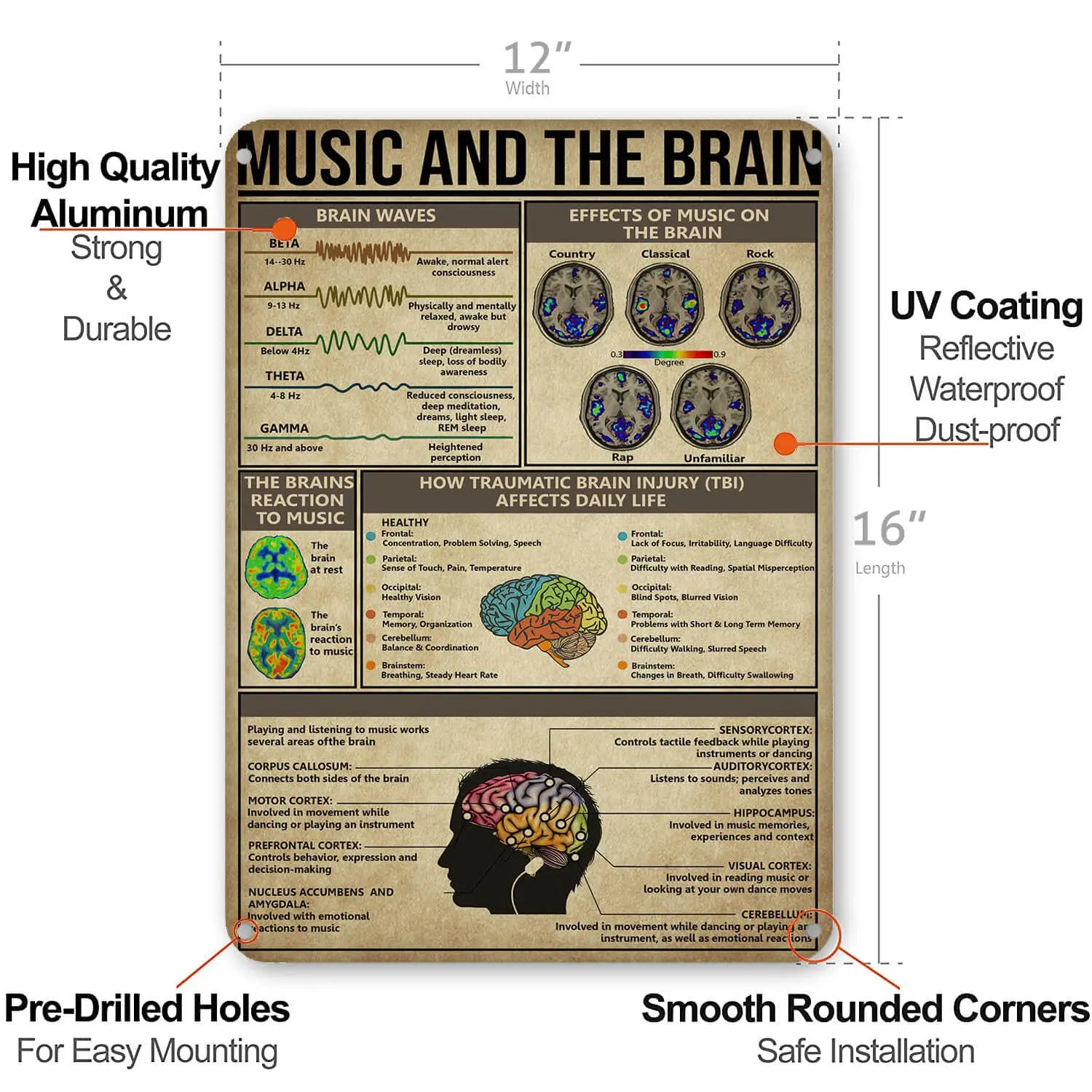 Music and The Brain Knowledge Metal Signs Poster, Vintage Wall Decor Farmhouse Decorations 16x12 Inches