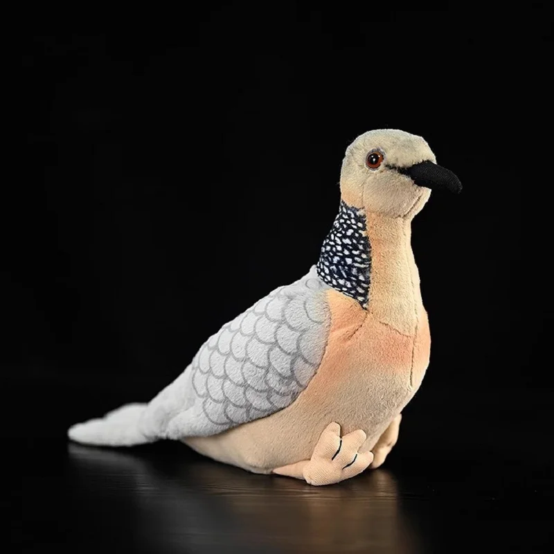 

Lifelike Spotted Dove Spilopelia chinensis Cute bird Emulational Animal Soft Doll Plush Toy Girl Boy Birthday Christmas Gift 1pc