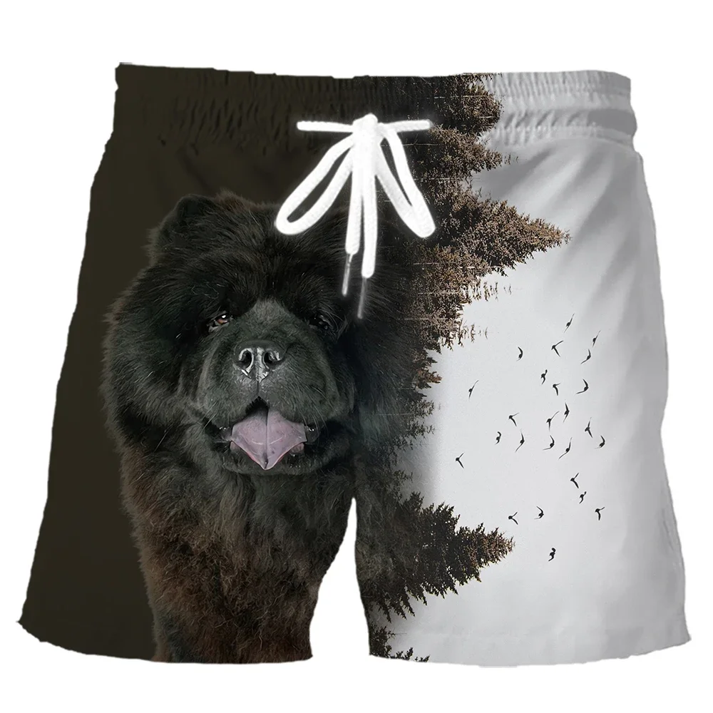 Hx Fashion Animals … - image