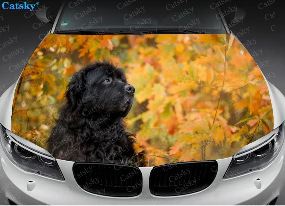 Animal -  Newfoundland Car Hood Vinyl Stickers Wrap Vinyl Film Engine Cover Decals Sticker Universal Car Hood Protective Film