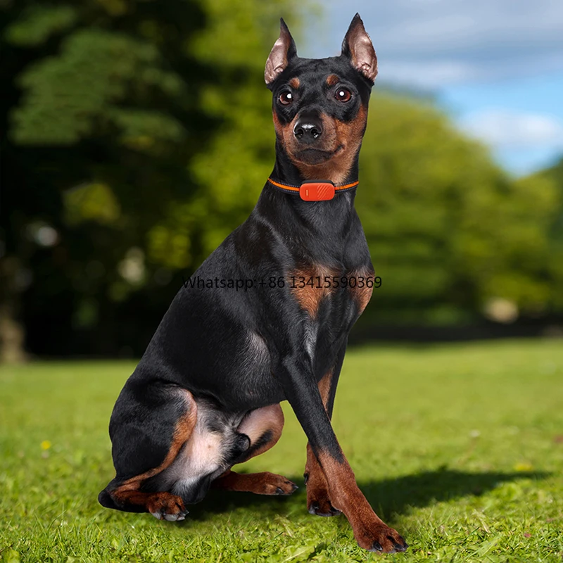 

Waterproof Pet GPS tracker 4G LTE Real Time Dog Cat Animal GPS Tracking With Free Mobile APP