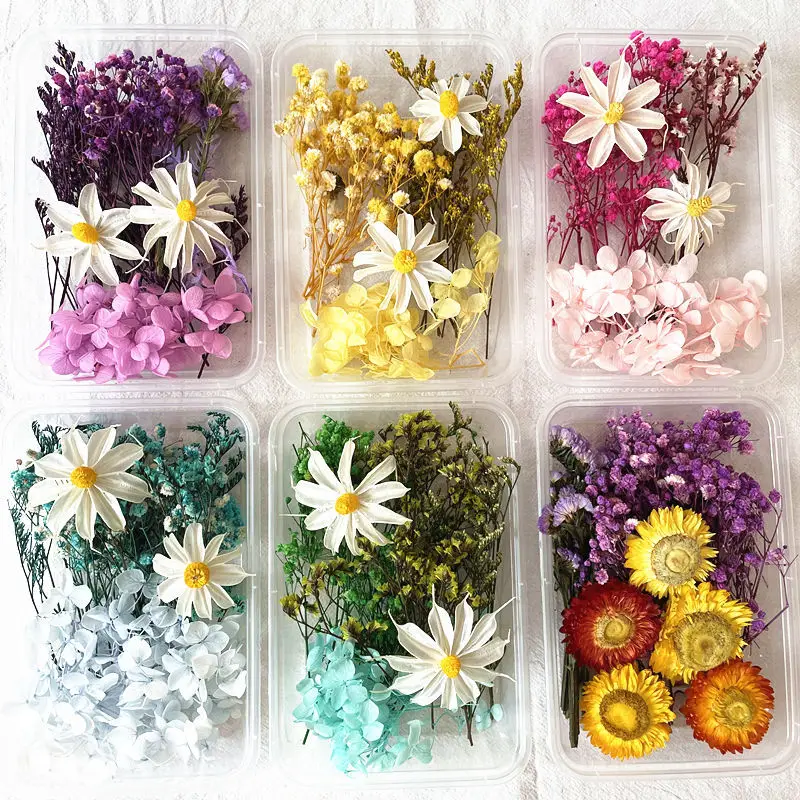 1 Box of Dried Flower Ancient Style Fan B Material Bag Children\'s Handmade Eternal Flower Material Frame Dried Flower Material