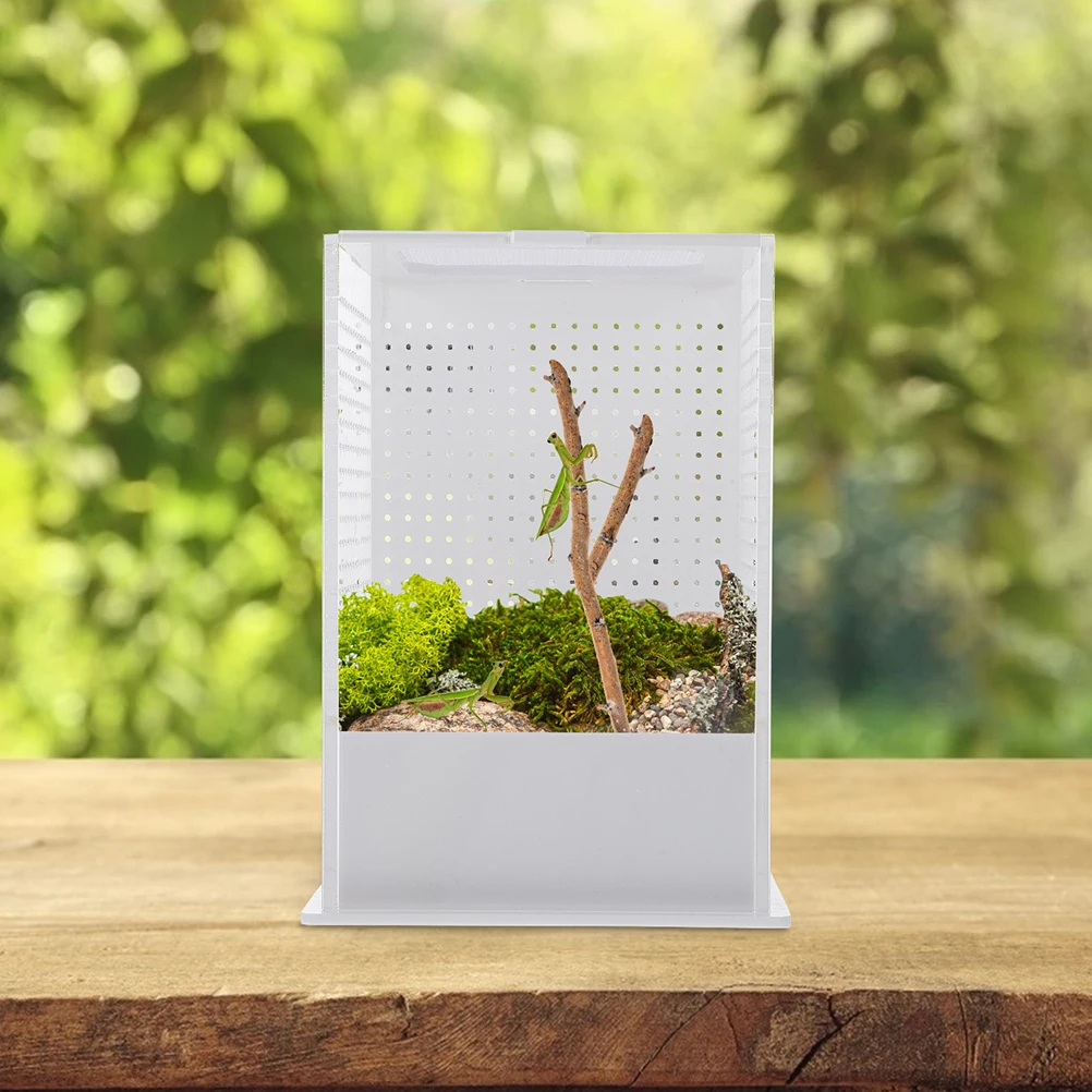 

Acrylic Reptile Terrarium Box for Small Pets Spider Lizard Feeding Container Breathable Ventilated Design Clear Insect Breeding