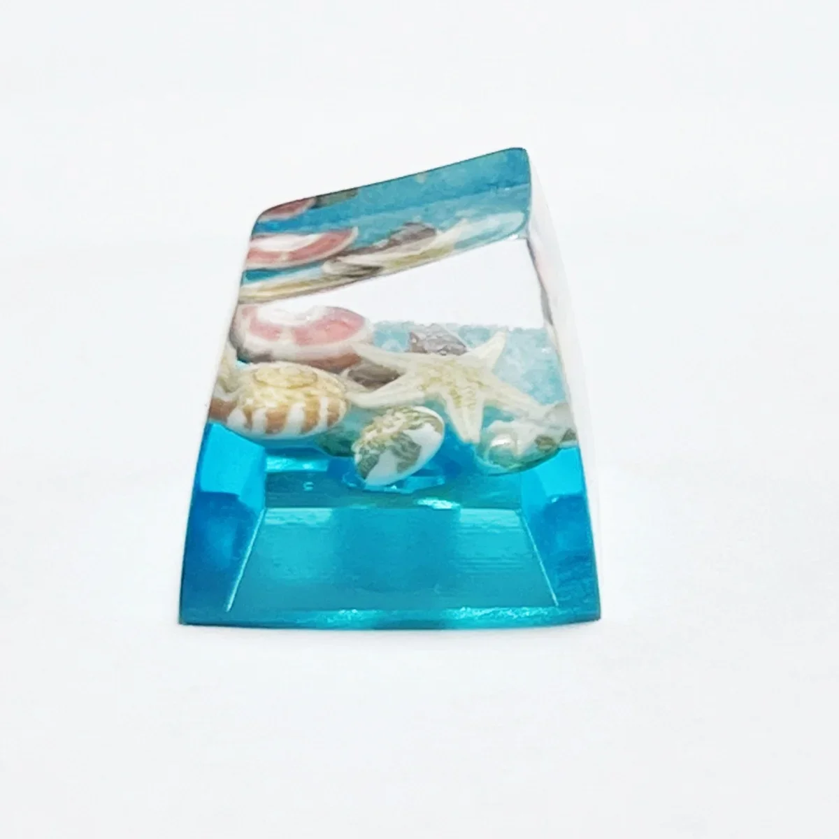 

Personalized Epoxy Underwater World Starfish Conch Keycaps