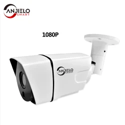 AHD Security IP Camera 1080P Video Surveillance Outdoor IP66 Waterproof Security Camera for Home Security External POE H264