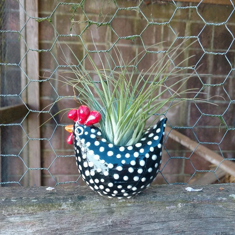 Free Range Black And White Chickens Collection Rooster Planter