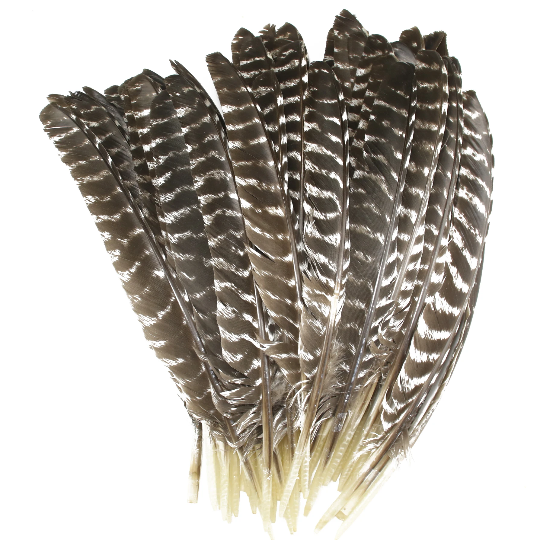 

50 pcs 10-16 Inches Natural Knife Shape Turkey Feathers For Crafts DIY Collection Wedding Party Home Decorations
