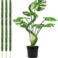 Wholesale Moss Pole Bendable Plant Stakes Handmade Slim Monstera Plant Support Moss Plant Sticks Support For Large Indoor Potted
