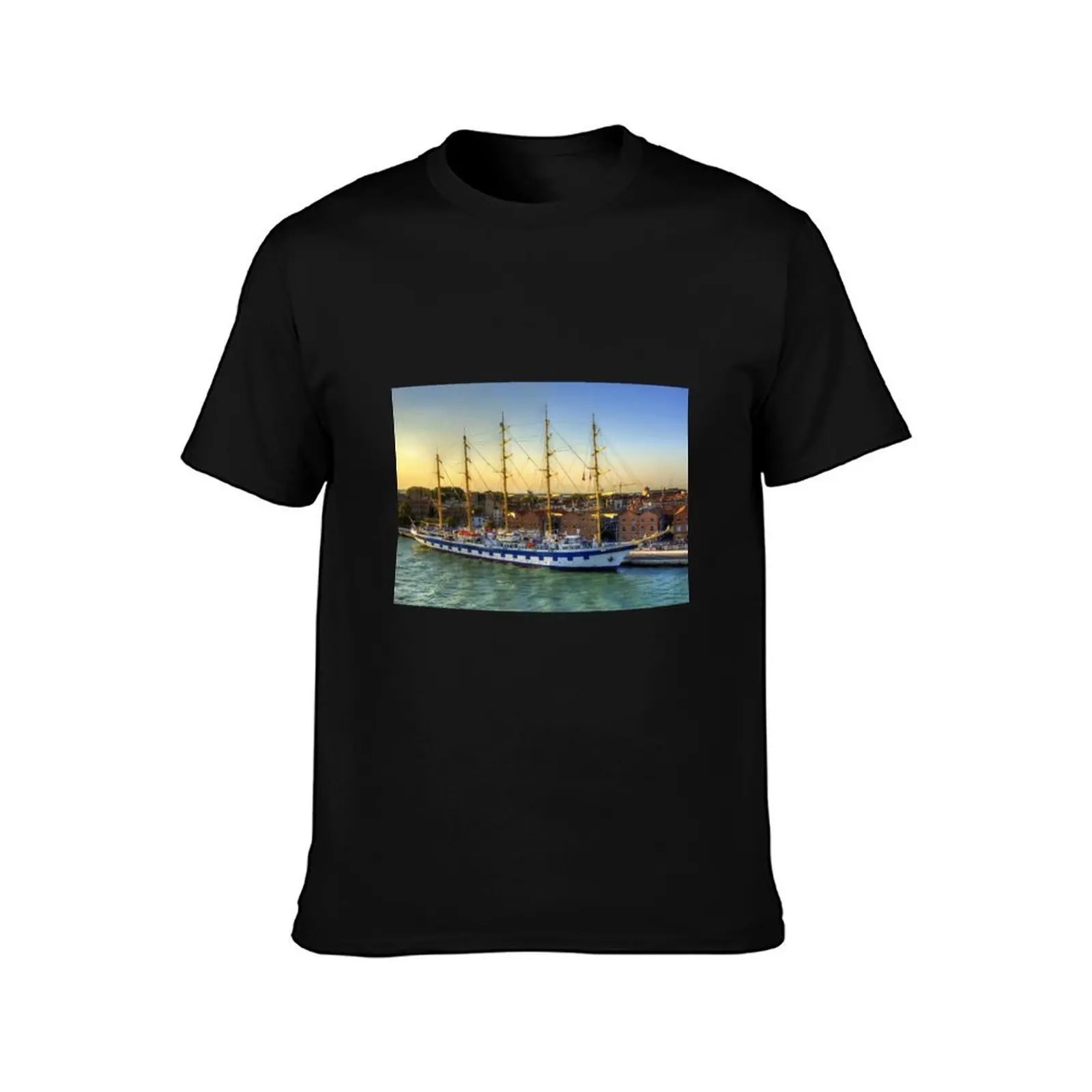 Royal Clipper T-Shirt Work Outdoor for Men T-Shirt