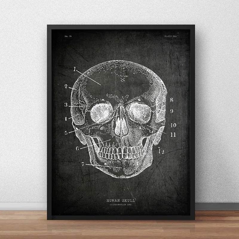 Human Skull Heart Skeleton Spinal Column System Organs Vody Anatomy Poster Wall Art Pictures Canvas Painting Room Home Decor