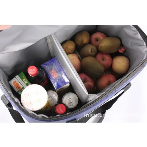 Redro Home 42LT Folding Lux Cooler Thermos Picnic Camping Bag