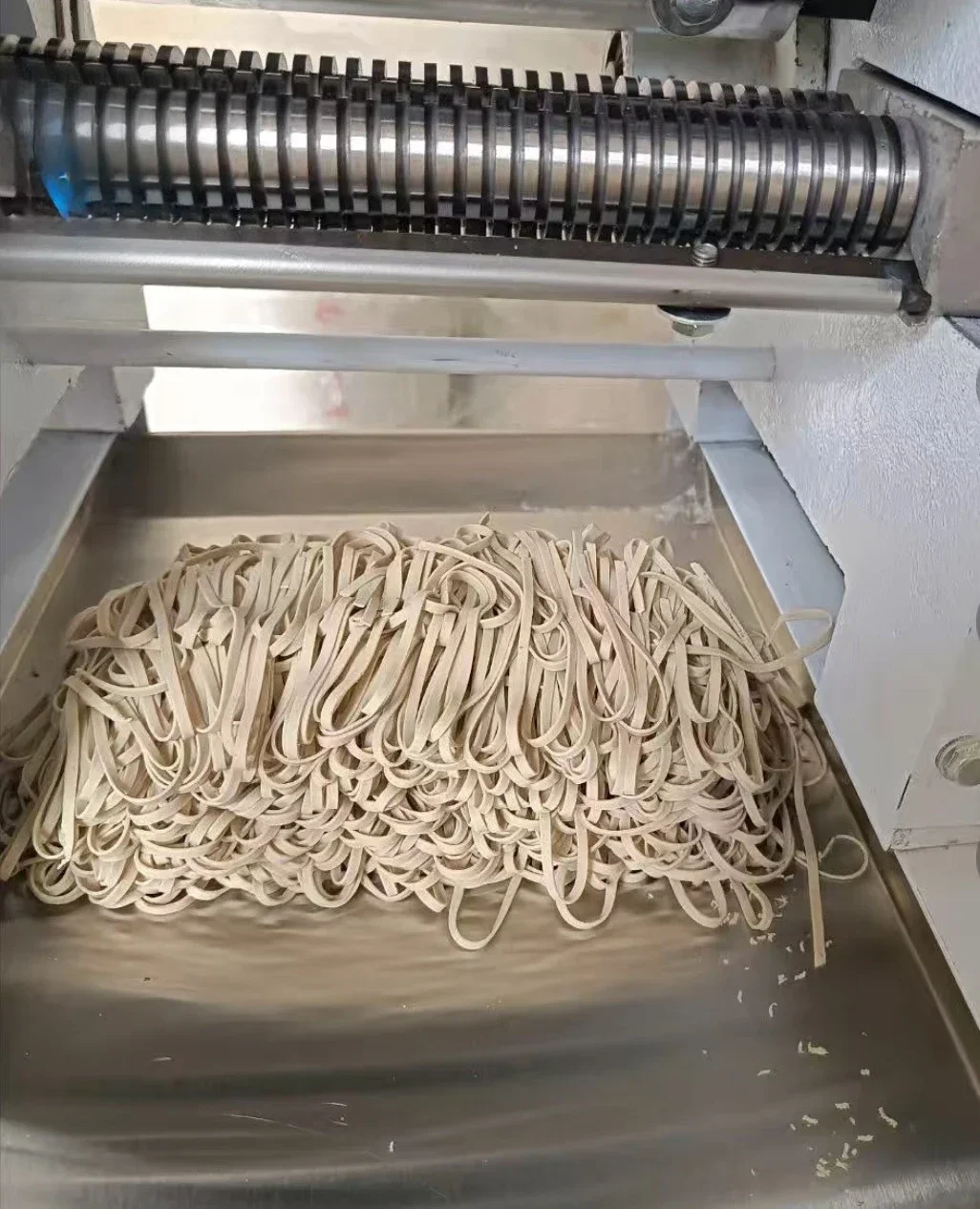 Machine/Best Price Noodle Machine Custom Ramen Machine/Japanese Noodle