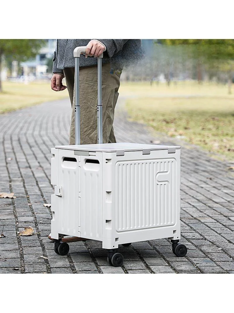 portable-plastic-shopping-cart-for-car-camping-picnic-vegetable-buying-hand-pushable-foldable-stainless-steel-body-storage