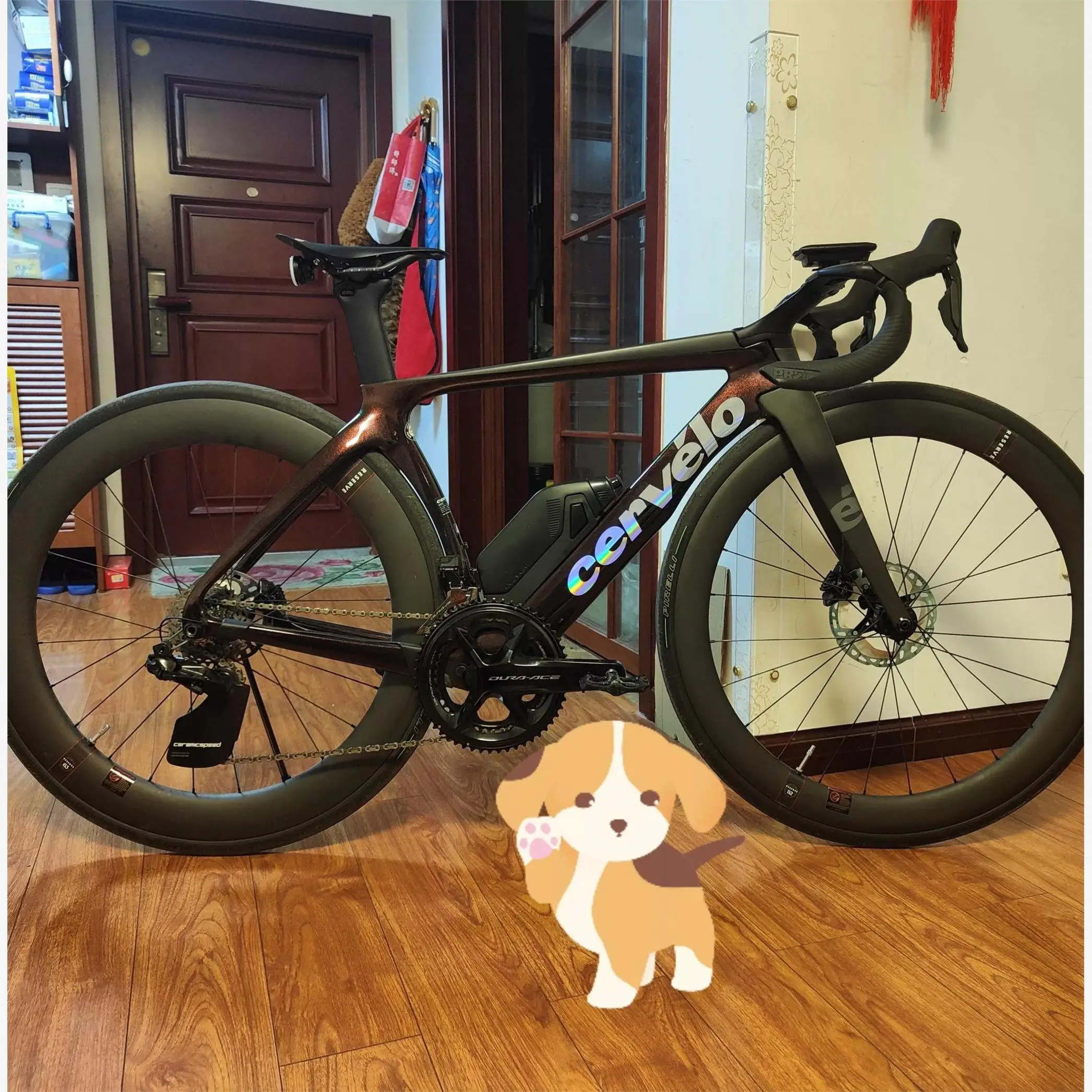 Cervelo S5 R5 S3 Soloist Road Bike Color Change Decal Sticker Logo Coverage Paint Finish Bicycle Cycling Equipment Accessory