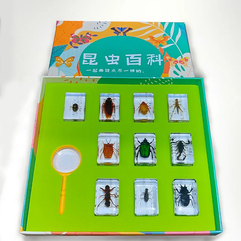 

Real Butterfly Resin Teaching Aid Insect Specimen Beetle Animal Locust Ant Ocean Dragonfly Bee Fish Children's Gift Decor