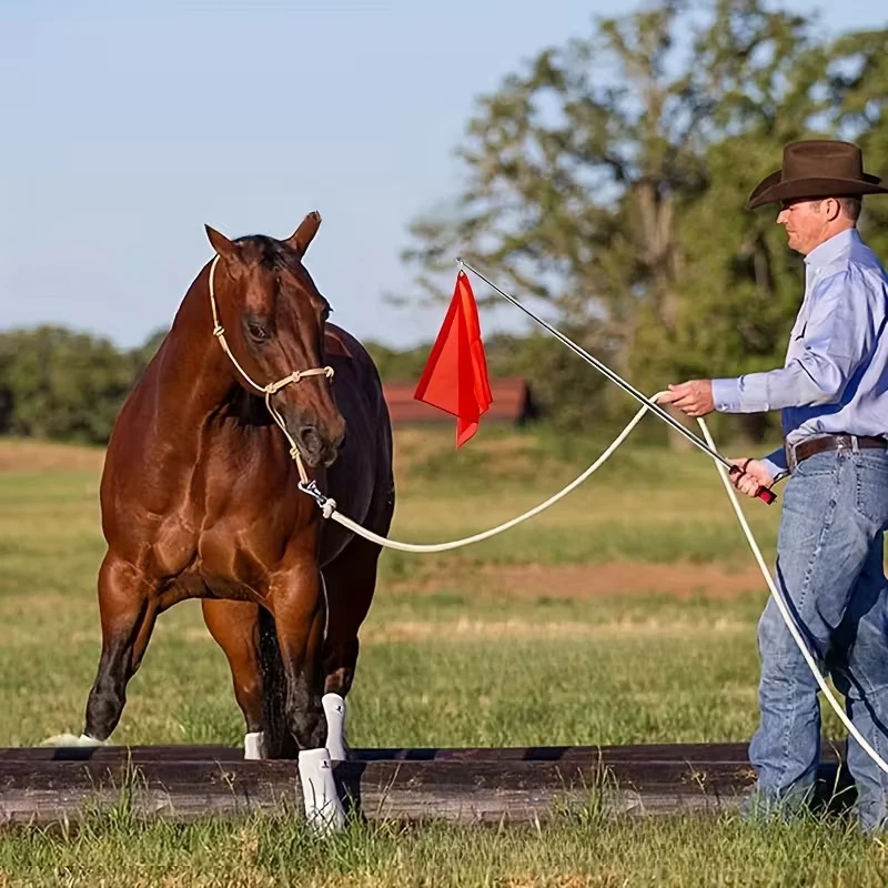 Флаги-для-тренировки-лошадей-с-телескопическим-флагштоком-набор-флагштоков-портативное-снаряжение-для-верховой-езды-с-верхом-яркие-цвета