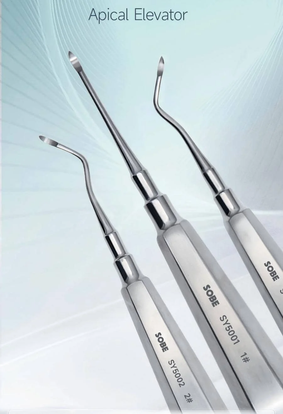Dental Elevator Hexagonal Shank Straight &Curved Tip Luxating Elevator for Loosening&Extracting Teeth Dental Surgical Instrument