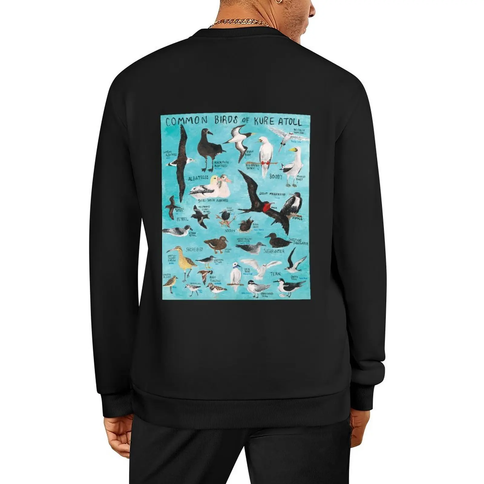 

Common Birds of Kure Atoll Pullover tracksuit men's coat mens clothing winter clothes sweatshirt for men